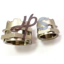 Brass Ppr/CPVC Inserts Fittings Offered in China